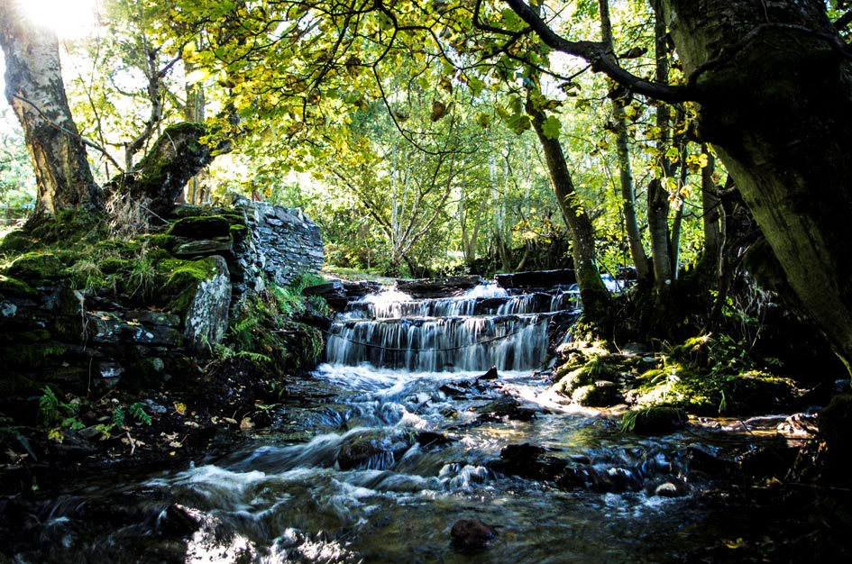 Ten Things To Do In The Dee Valley Gogledd Ddwyrain Cymru North