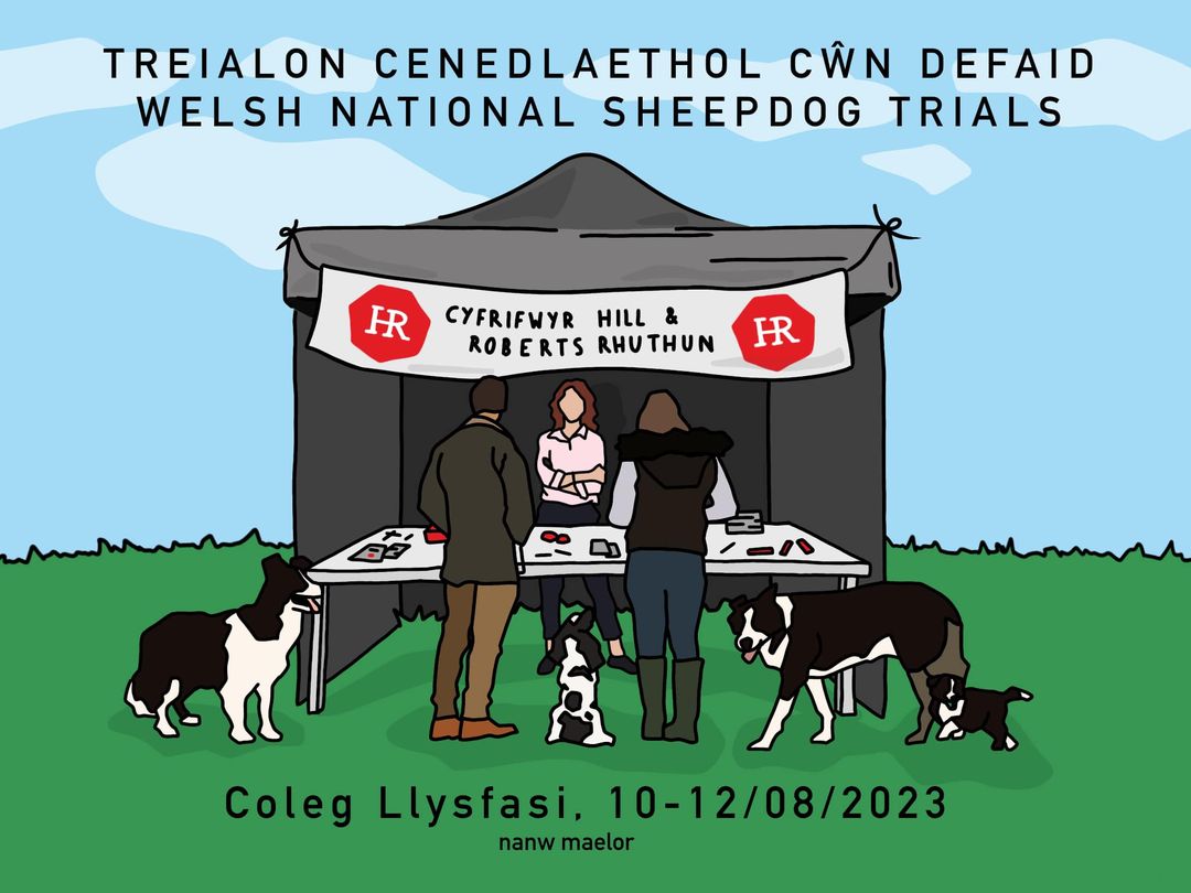 The Welsh National Sheepdog Trials 2023 Gogledd Ddwyrain Cymru